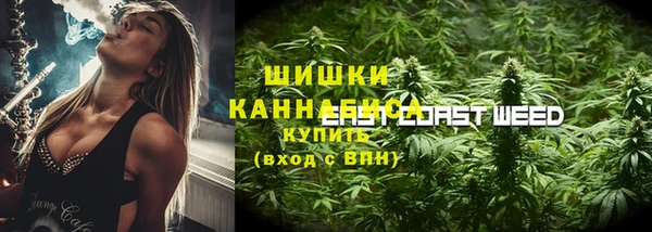 сатива Белоозёрский